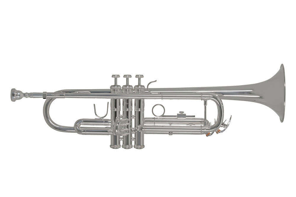 TR650S - Bes Verzilverde