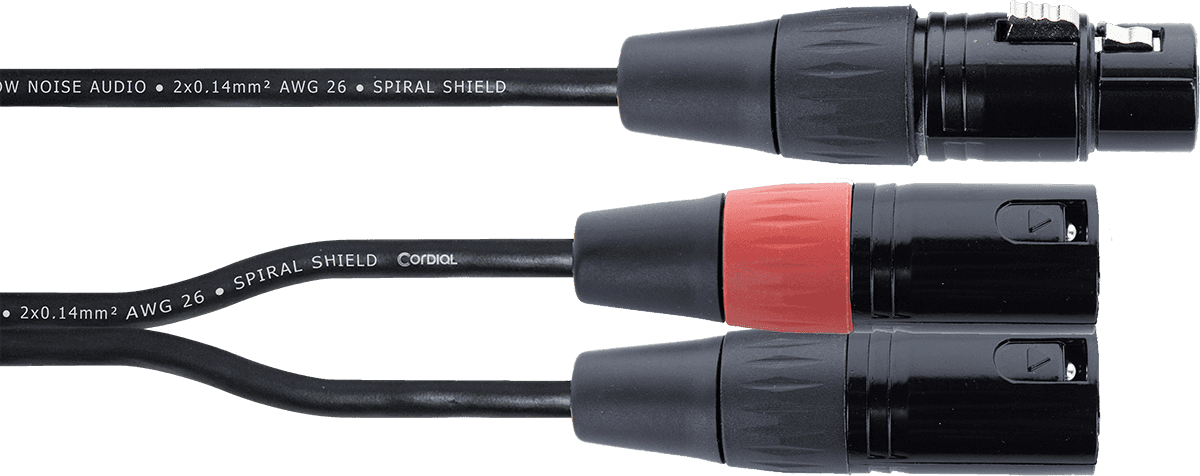 Y-Kabel XLR-Bus / 2 XLR-Stekkers 30 CM