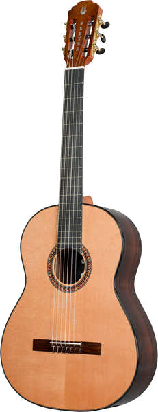 P800 Expression 4/4 + Gigbag