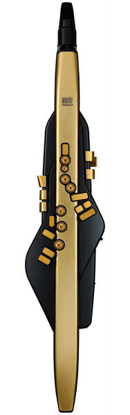 Roland Aerophone Pro AE-30A Gold