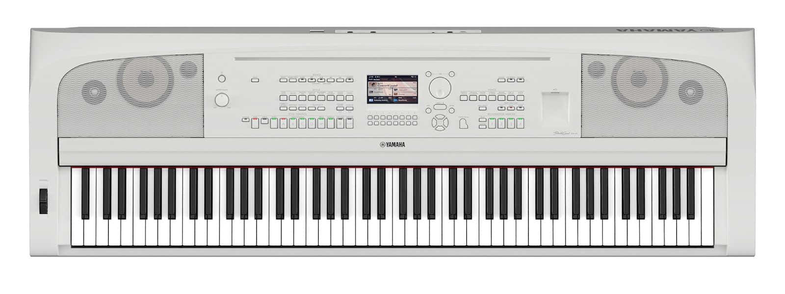 DGX-670 wit