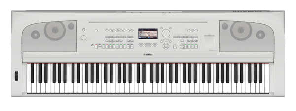 DGX-670 wit