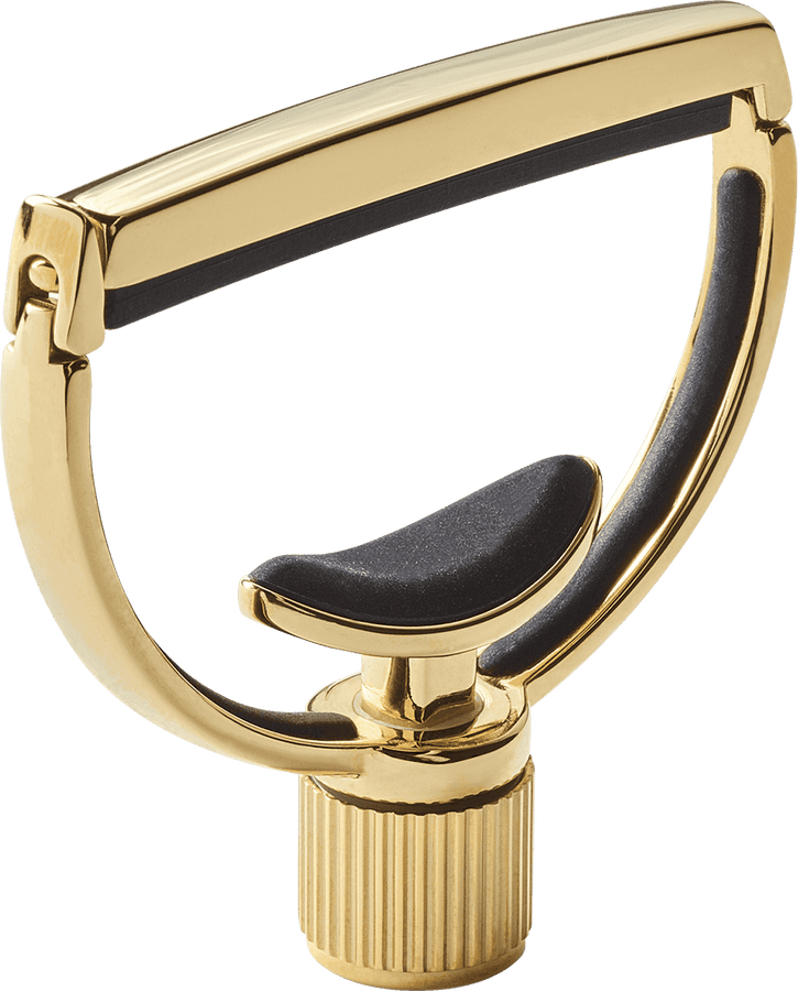 Heritage Gitaar Style 1 Breed Goud