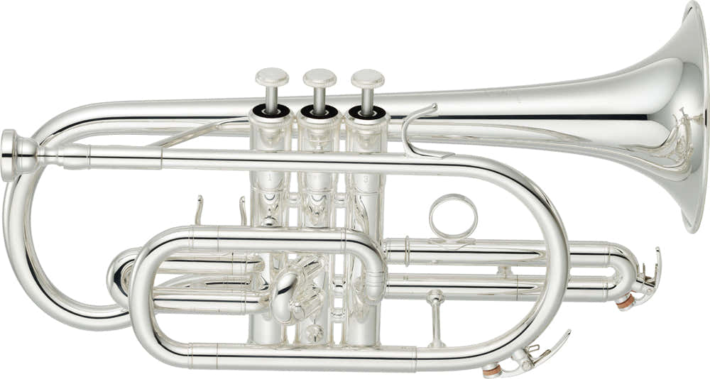 YCR4330GSII Bes Verzilverde