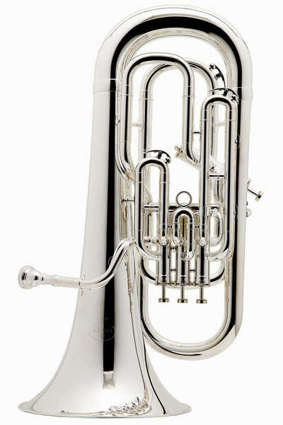 Prodige Bes Verzilverd - BE165-2-0