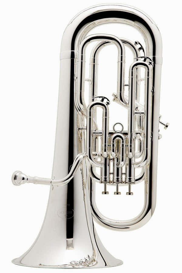 Prodige Bes Verzilverd - BE165-2-0