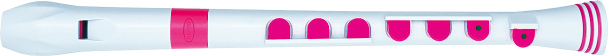 RECORDER+ WIT EN ROZE
