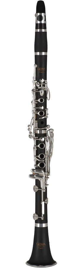 Ambition CL651 Bes (18 Zilveren Kleppen)