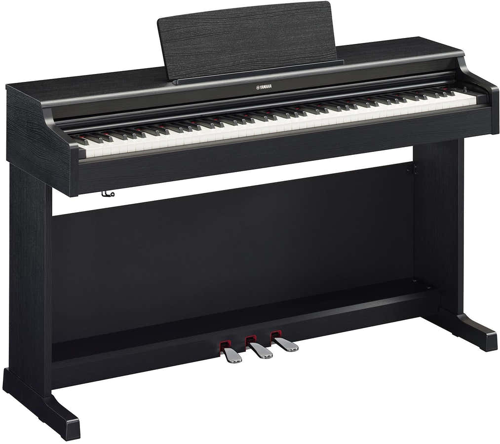 Arius YDP-165 Zwart