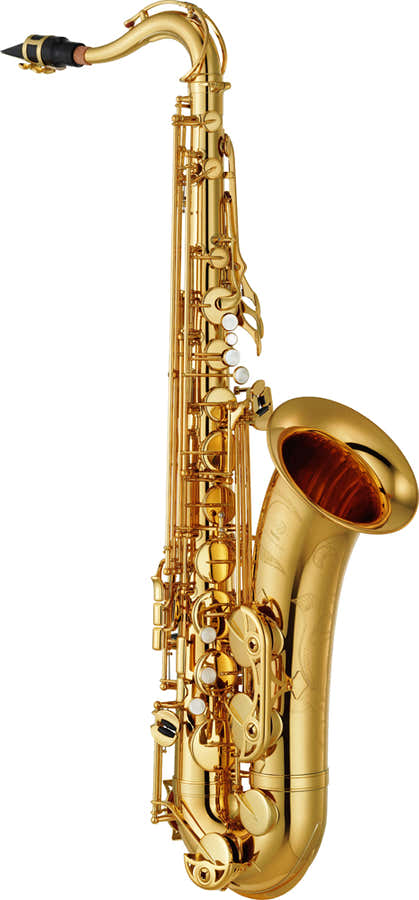 YTS-480 - Tenor Bes Gelakt