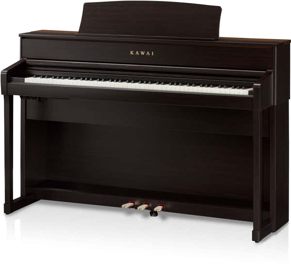 CA701 Palisander