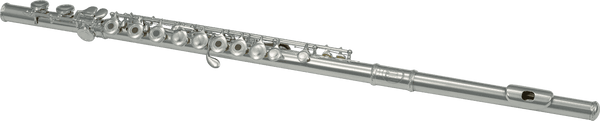 FL300R FLUIT - STUDIE