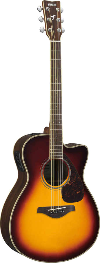 Fsx830Cbs Bruin Sunburst