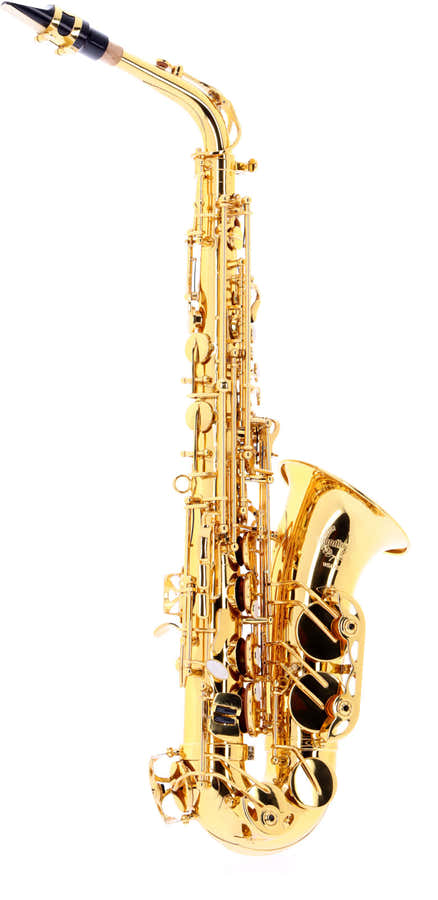 WSA300 - Alt Mi B Verni