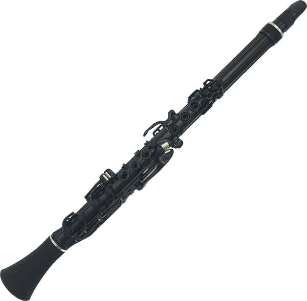 Clarineo Zwart - Gereconditioneerd