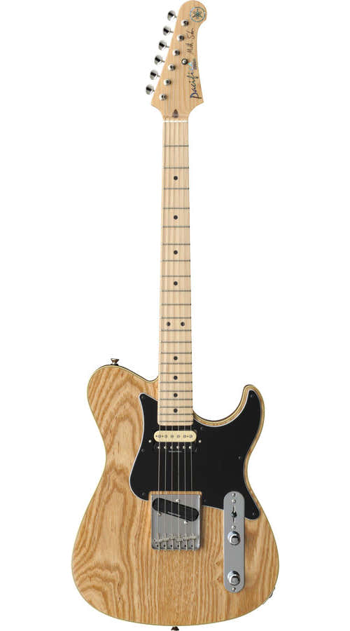 Pa1611Msnt Mike Stern Signature Naturel