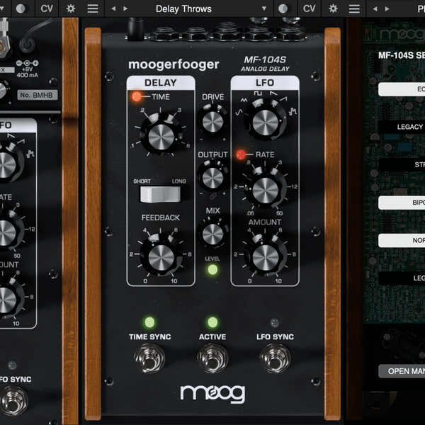 Moog MF-104S Analoge vertraging