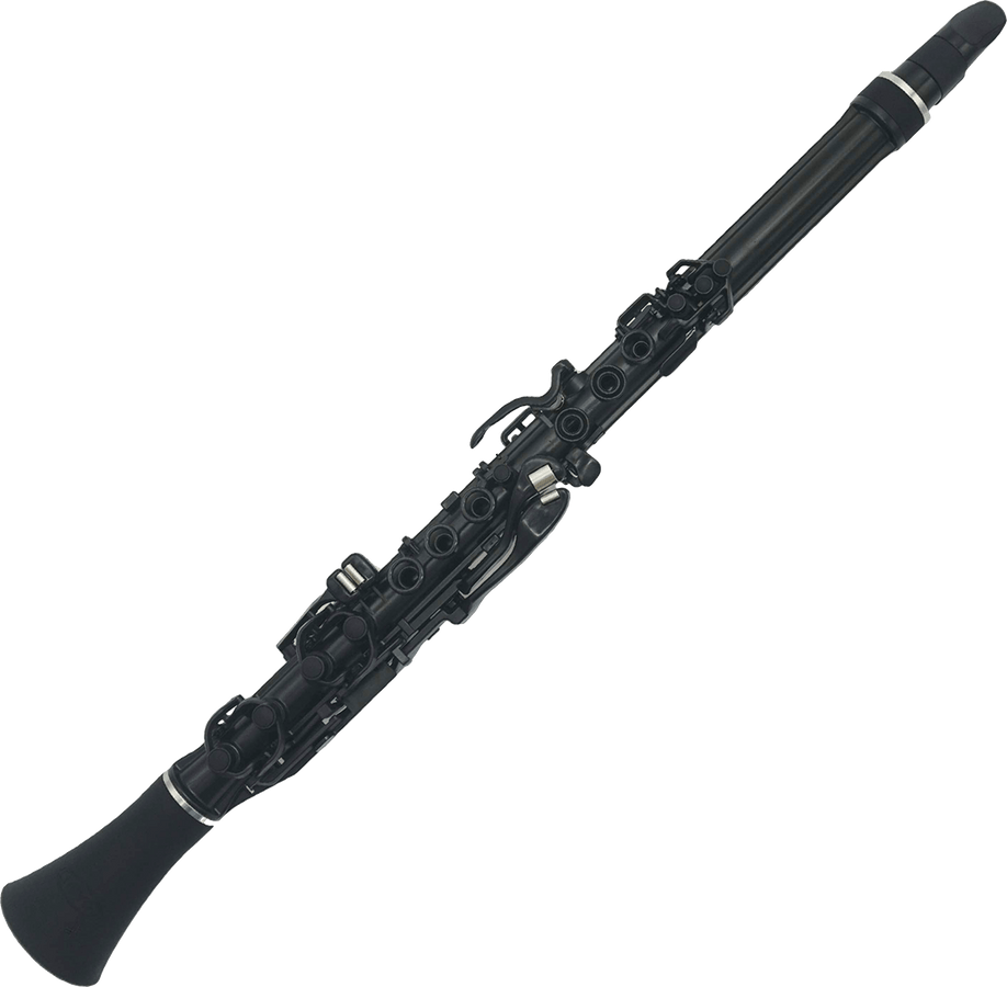 CLARINEO ZWART