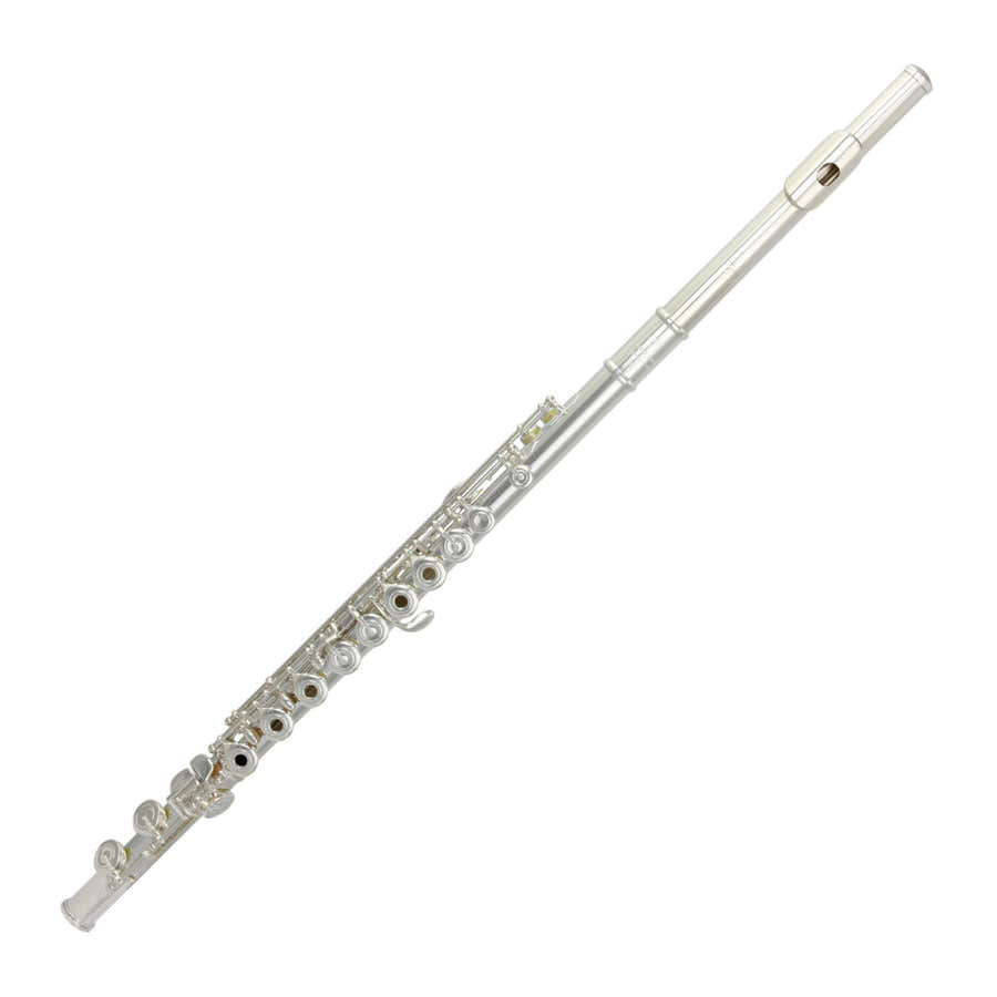 Cantabile - Zilveren Kopstuk 31CV-RX
