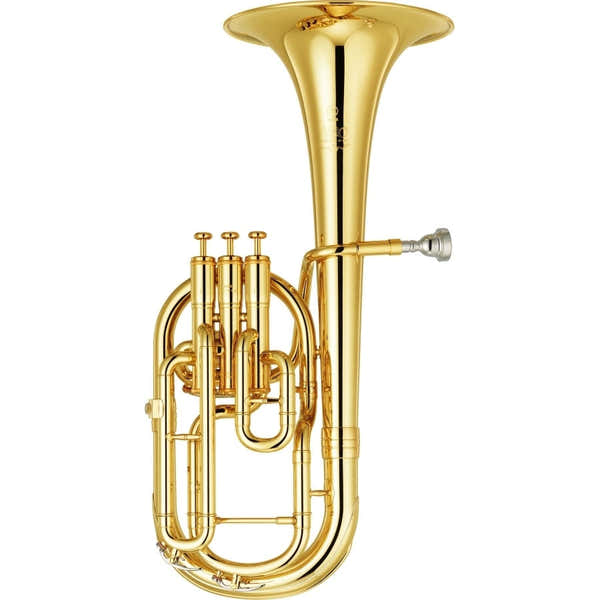 SAXHORN PROF. - ALTSAXHOORN EB NEO