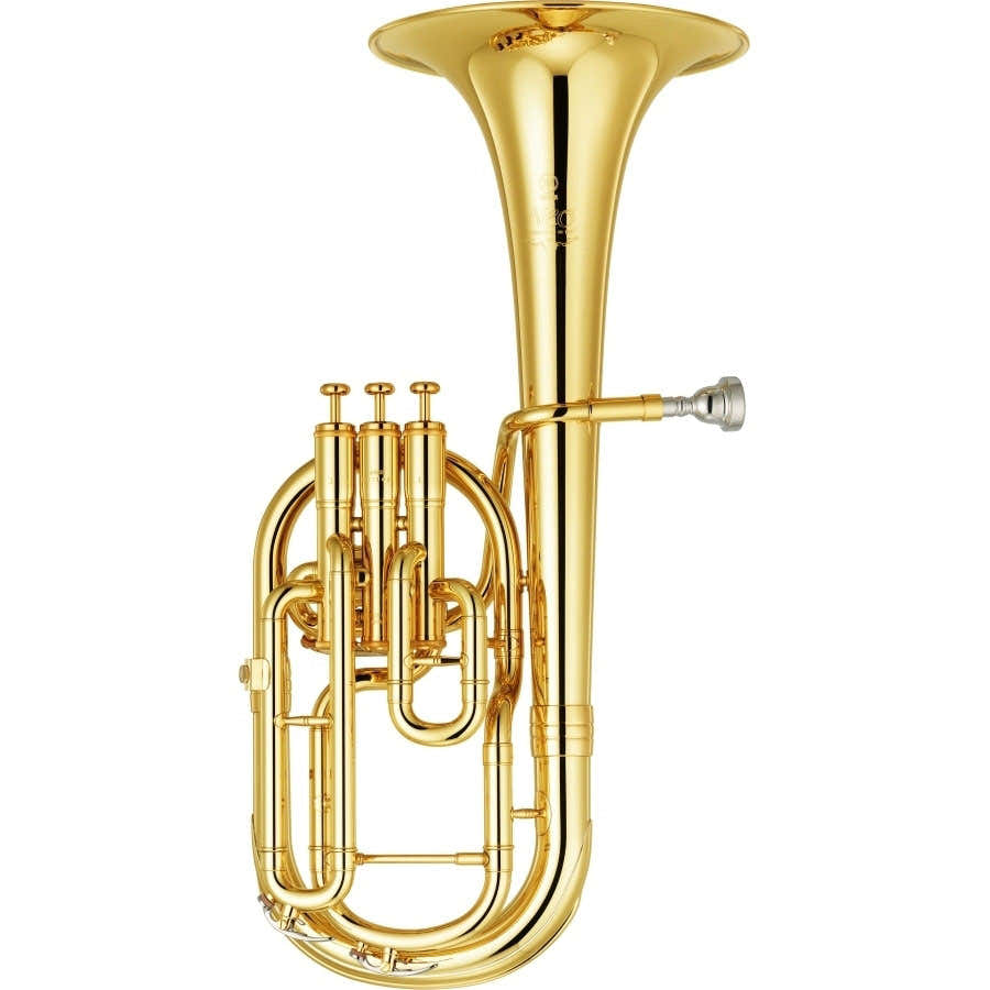 SAXHORN PROF. - ALTSAXHOORN EB NEO