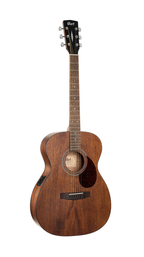 Gitaar Luce L60MF Naturel Fishman