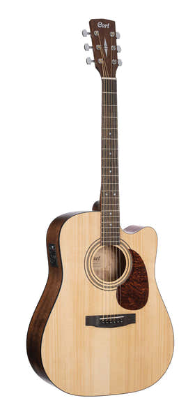 Gitaar Earth60ce Naturel Open Pore