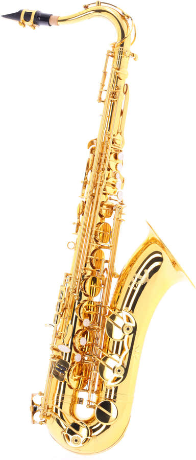 WST300 - Tenor Bes Gelakt