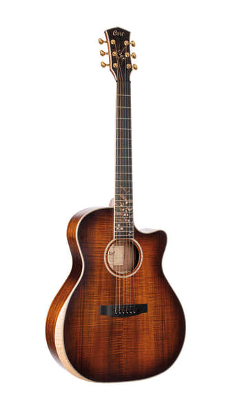 Cort The Black Tree Light Burst