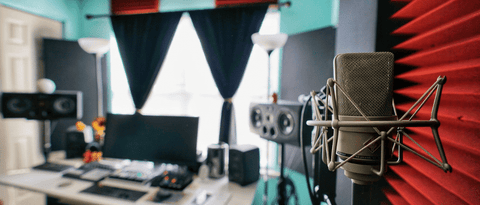 TOP 5 van de beste home-studio microfoons: professionele opname en veelzijdigheid
