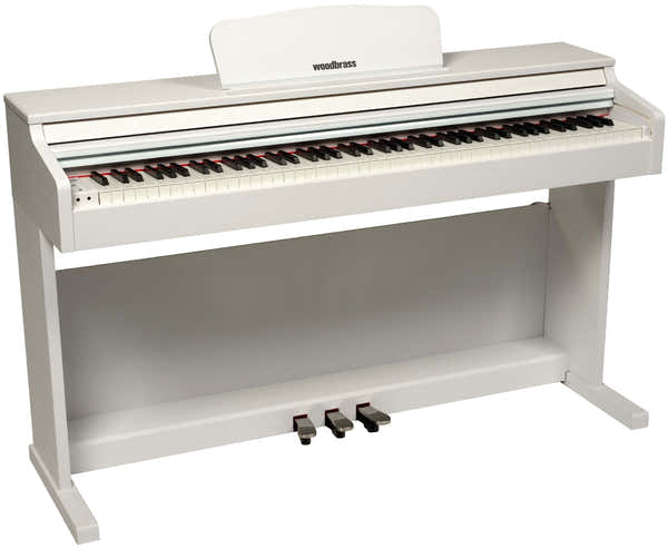 Woodbrass DP2 Wit - BSTOCK