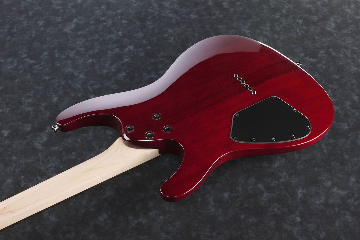 S521-BBS Blackberry-Sunburst Sabre