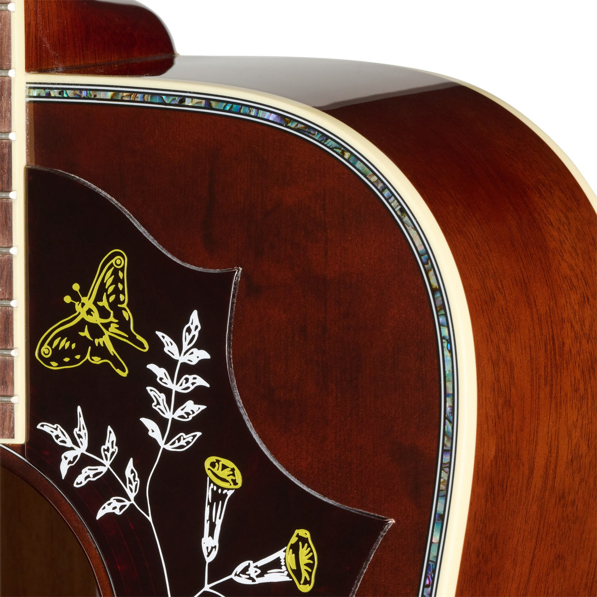 Hummingbird Anni. Gelimiteerde Editie Cremona Burst Modern