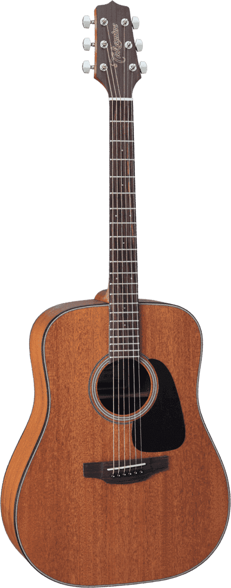 Takamine Gitaren
