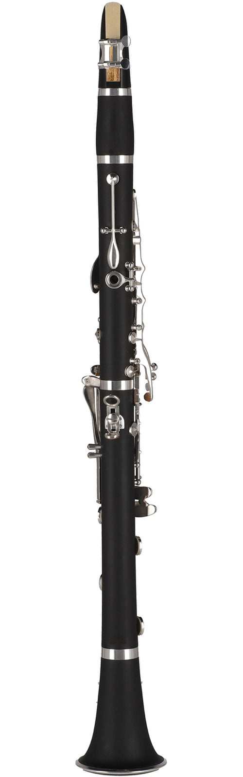 Ambition CL650 Bes (17 Zilveren Kleppen)