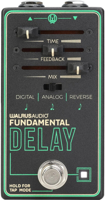 Fundamentele delay