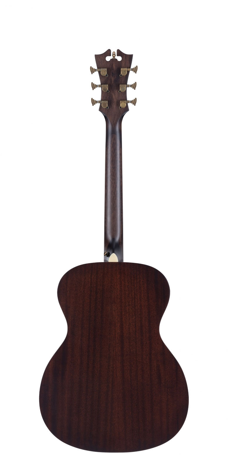 Premier Tammany Caramel Burst