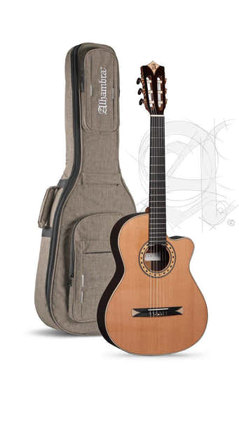 Concert Cs-3 Cw E8 Crossover + 9738 25mm Gigbag