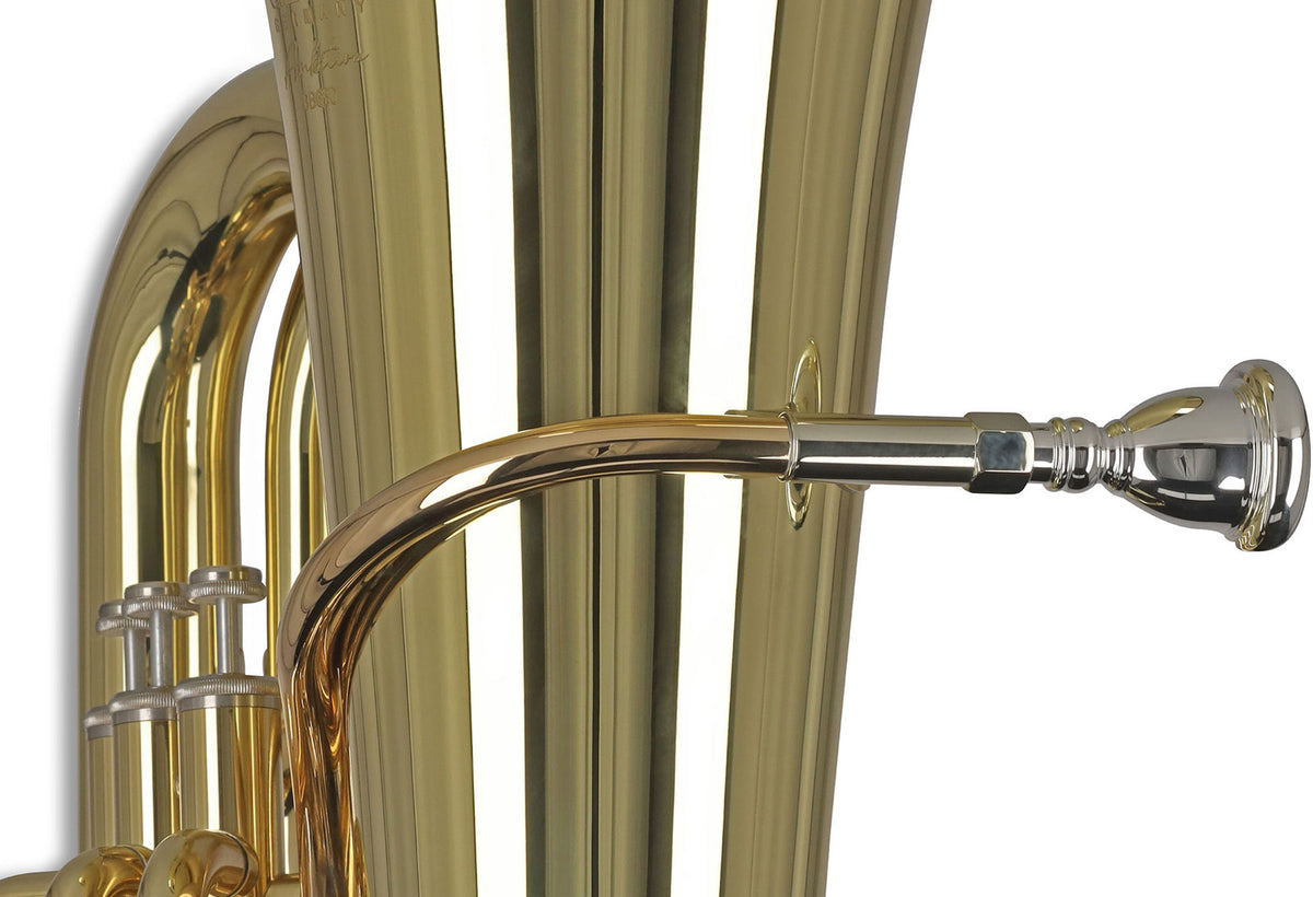 Ambition BB650 Contrabas Bes Gelakt