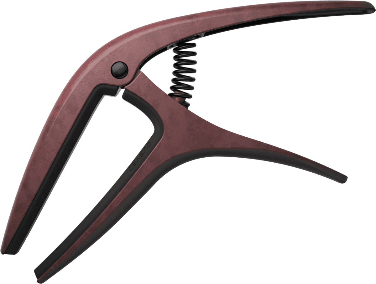 AXIS BRONZE