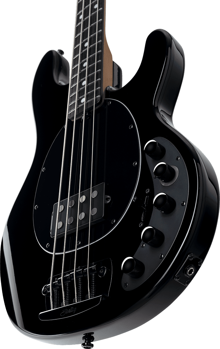 Dark Ray Stingray Met Darkglass-elektronica