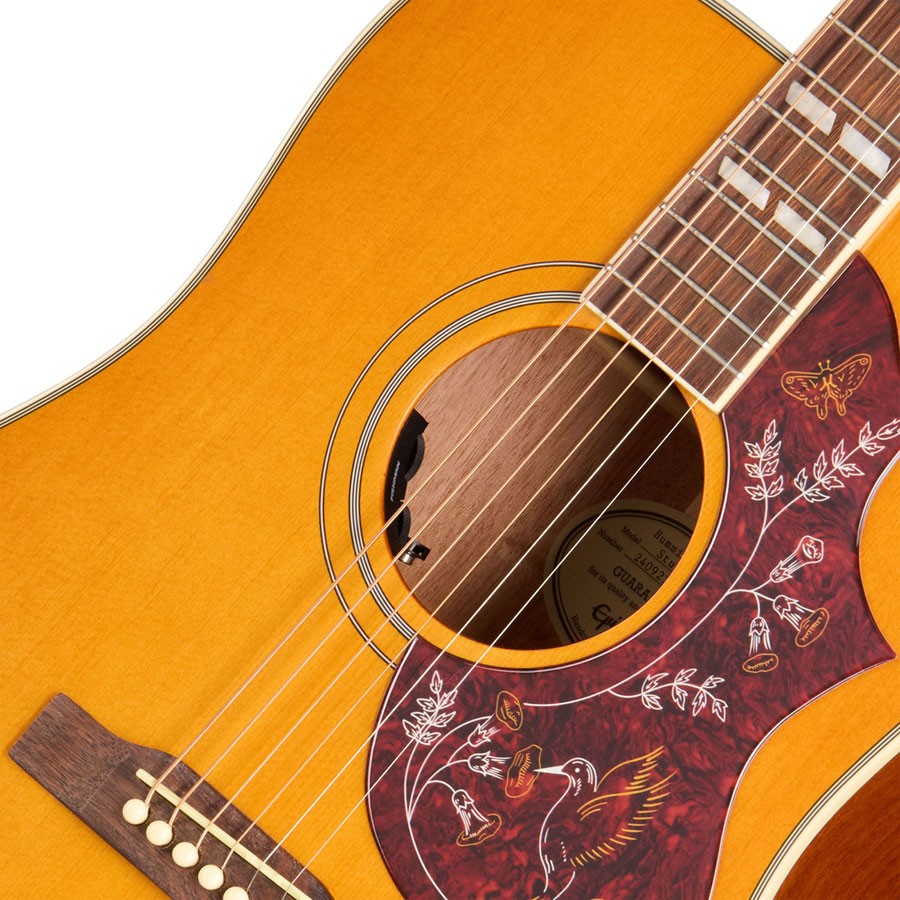 Hummingbird Studio Natural