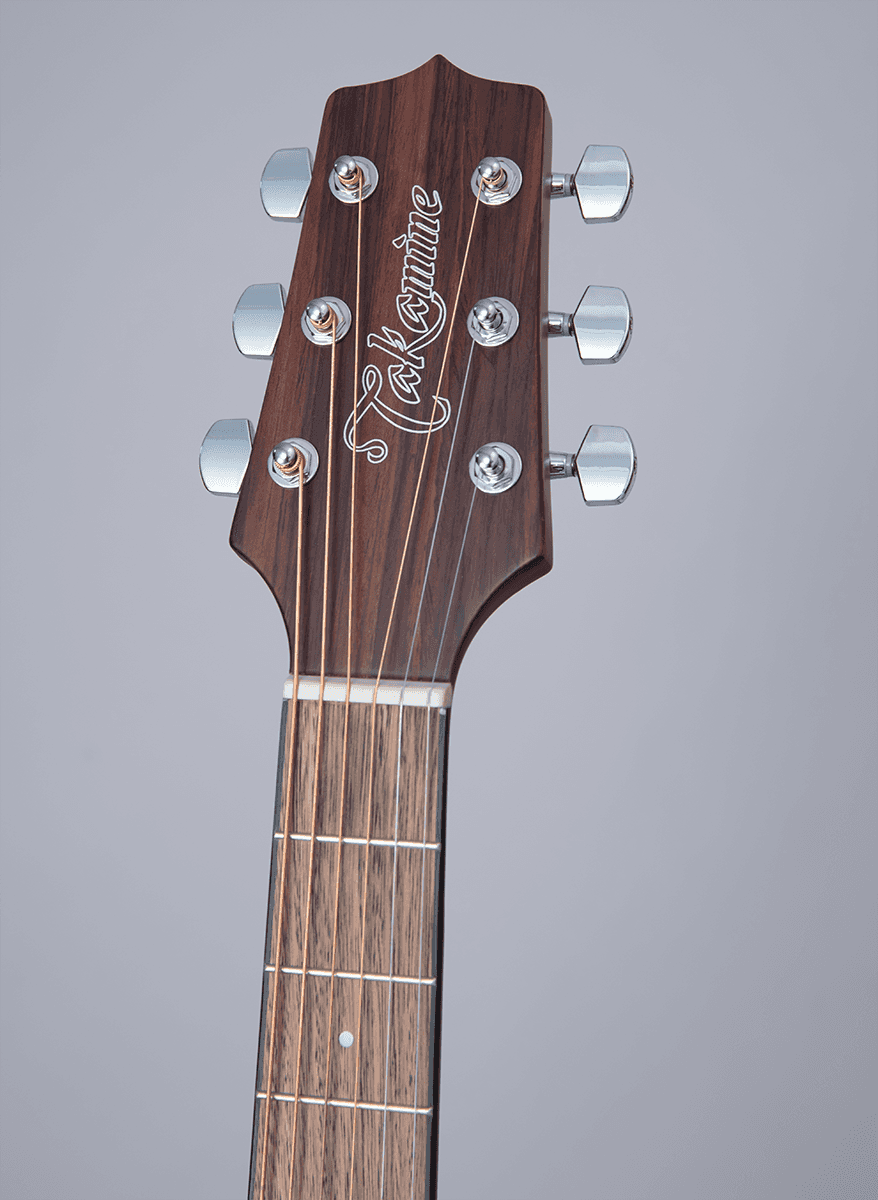 GLD12ENS 12 Dreadnought Sparren-Mahonie