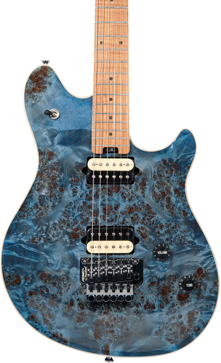 HP2 Populierenwortel Blauw