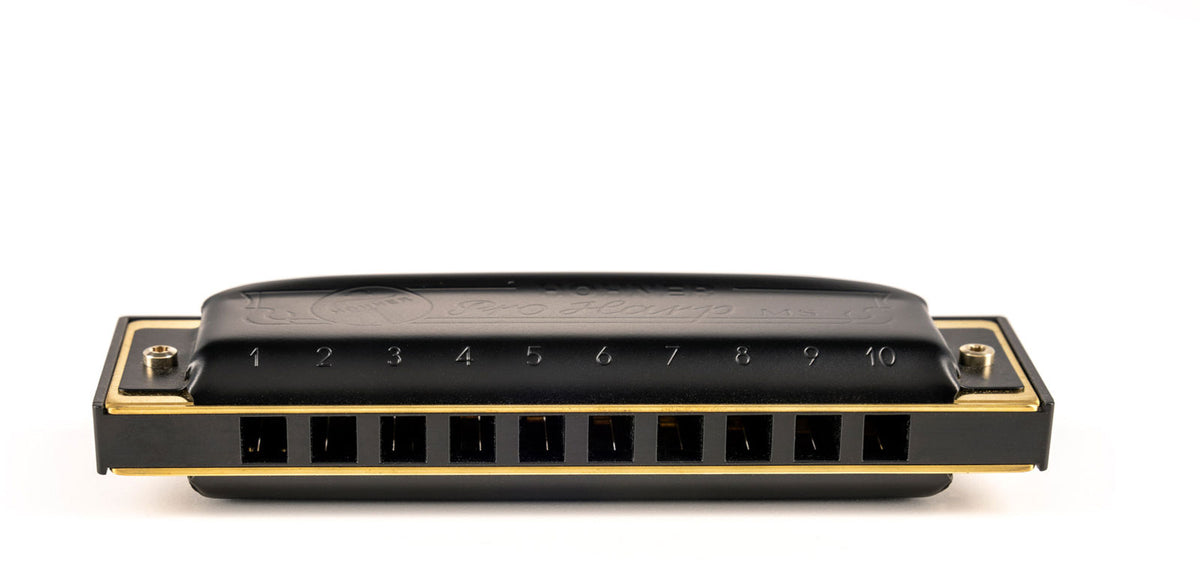 DIATONIC 562/20 MS PRO HARP 10 HOLES C DO