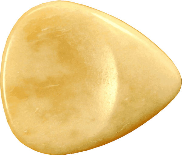 Plectrums Superdug Bot