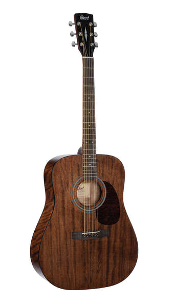 Gitaar Earth60M Naturel