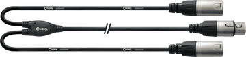Y-Kabel XLR-Bus/2 XLR-Stekkers 30 CM