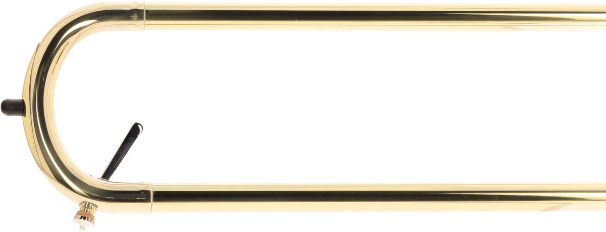 WTB200 - Bb gevernist