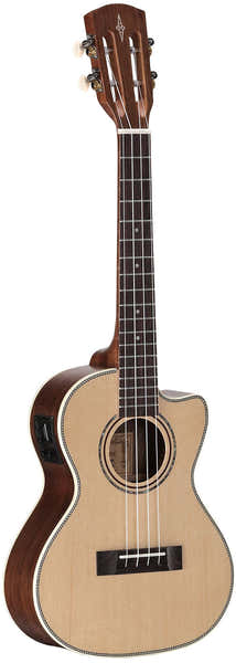 AU70WTCE